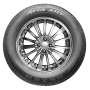 Nexen Aria AH7