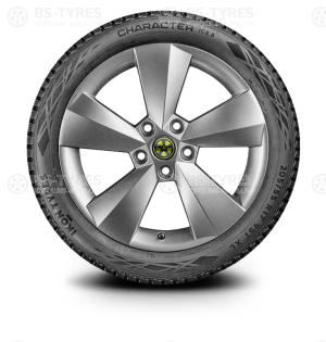 Ikon (Nokian Tyres) Character Ice 8 (Nordman 8) 195/55 R16 91T