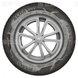 Alga (НК-532)