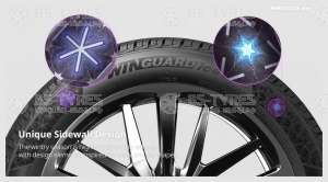 Winguard Ice 3
