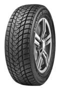 Delinte Winter WD1